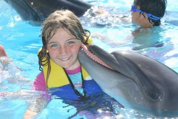 Dolphin Show Hurghada and Swimming with Dolphins