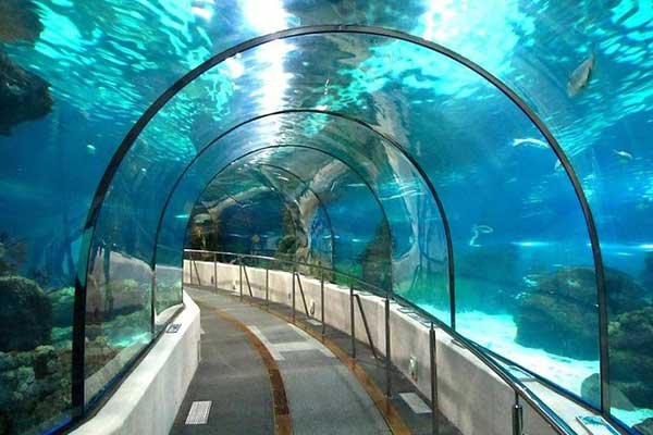Hurghada Grand Aquarium