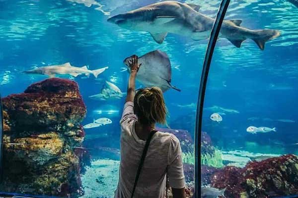 Hurghada Grand Aquarium