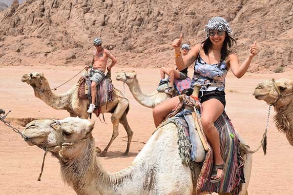 Mega Quad Bike Safari with Camel ride, Dinner and Folklore in hurghada