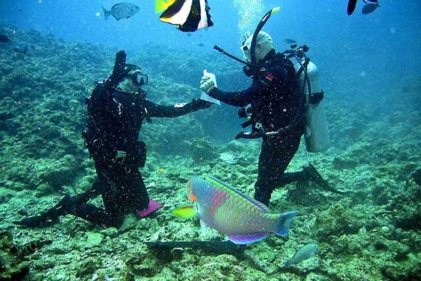 Scuba Diving Hurghada