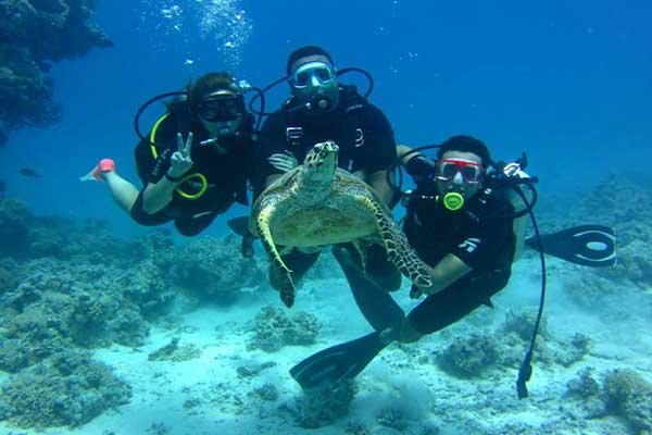 Scuba Diving Hurghada