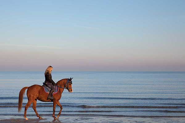 Horse Riding in Hurghada – Desert & Along the Beach