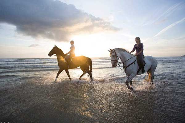 Horse Riding in Hurghada – Desert & Along the Beach