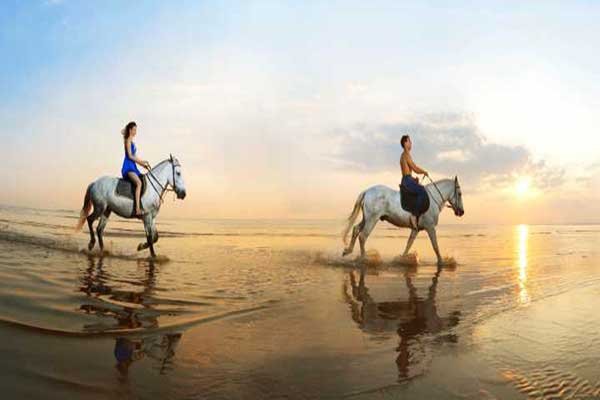 Horse Riding in Hurghada – Desert & Along the Beach