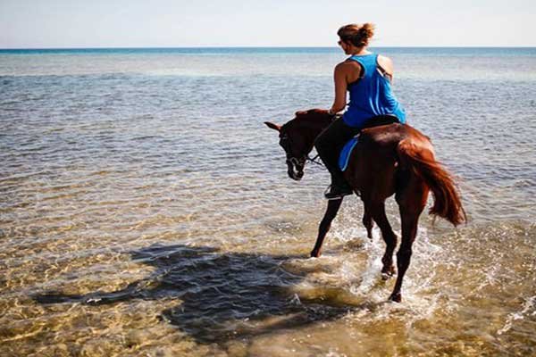 Horse Riding in Hurghada – Desert & Along the Beach