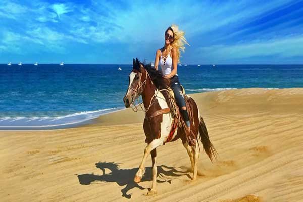 Horse Riding in Hurghada – Desert & Along the Beach